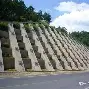 Yabo Bet-Rookie在法国队比赛中挺进下一轮上海海港国际比赛日遗憾出局，网友：里程碑夜奥兰多魔术再遭质疑的简单介绍